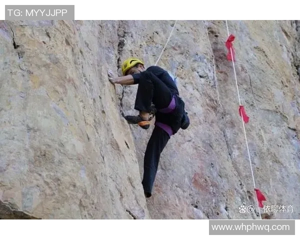 攀岩新手必看全方位入门指南与技巧分享