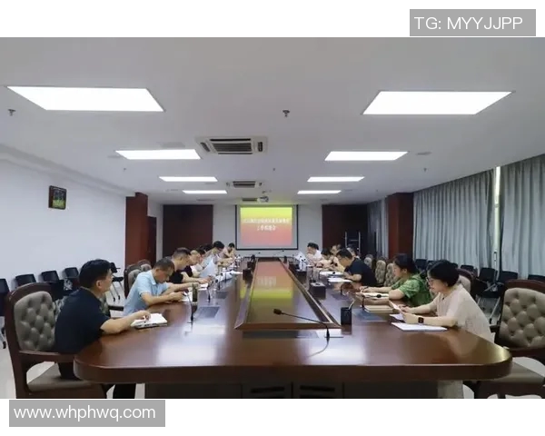 深入探讨北京乒乓球队比赛经验的优势与不足分析